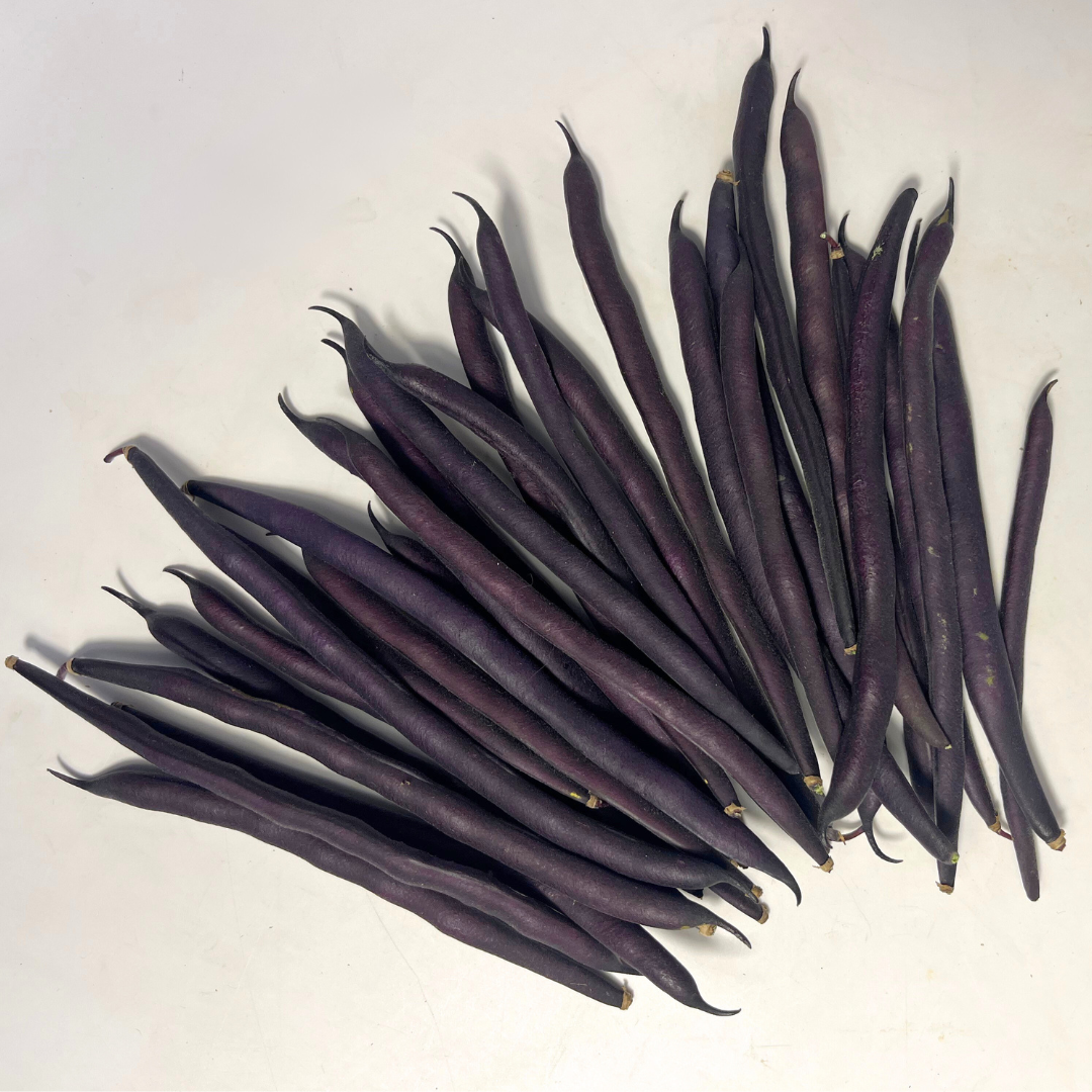 Al Wadi Purple Pole Bean