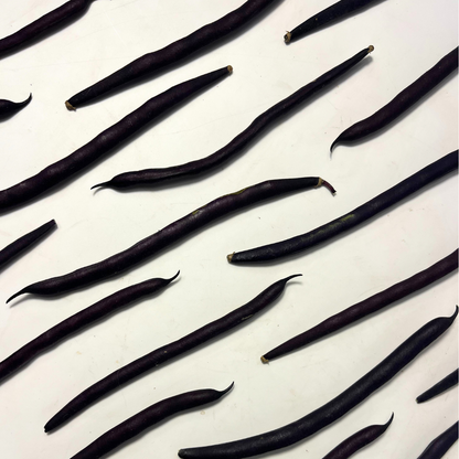 Al Wadi Purple Pole Bean