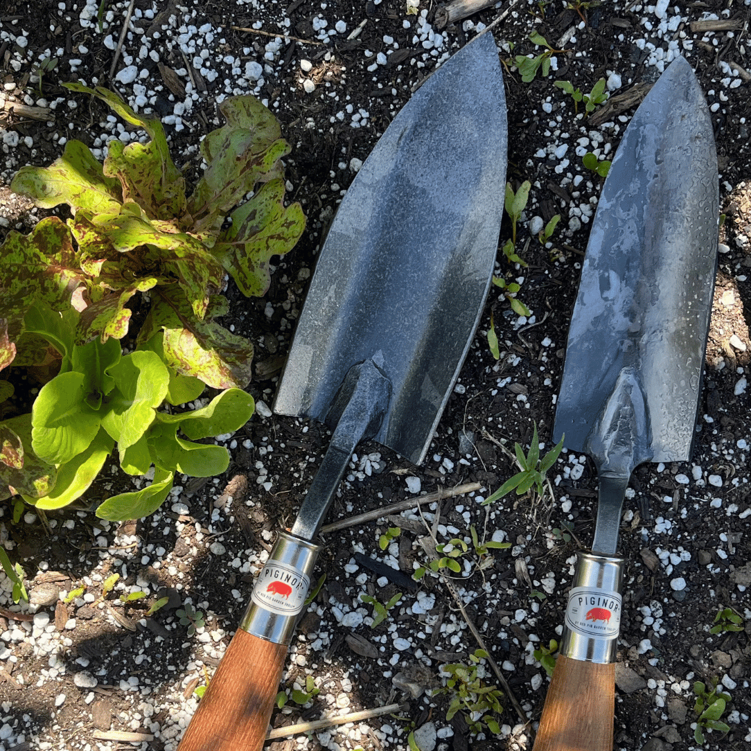 Piginor Planting Trowel