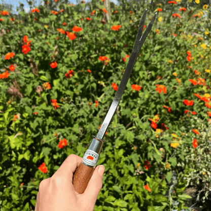 Piginor Dandelion Weeder