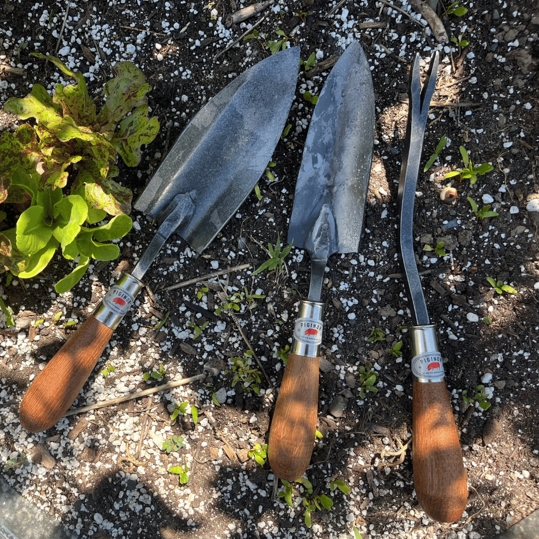 Piginor Dandelion Weeder