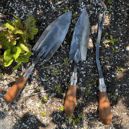 Piginor Dandelion Weeder