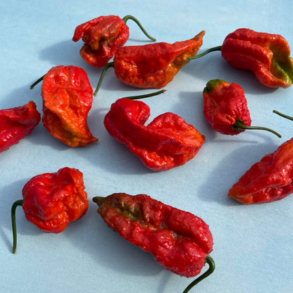 Ghost Pepper