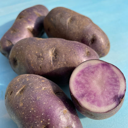 All Blue Potato