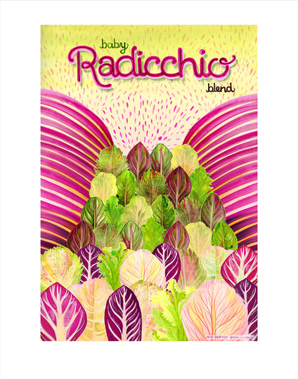 Baby Radicchio Mix Art Print ~Signed~