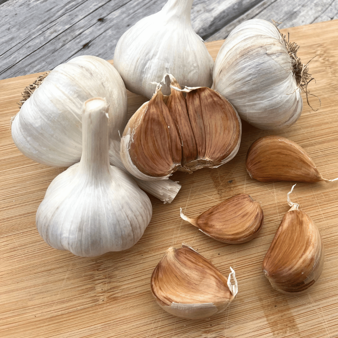 Conventional Bloodnick&