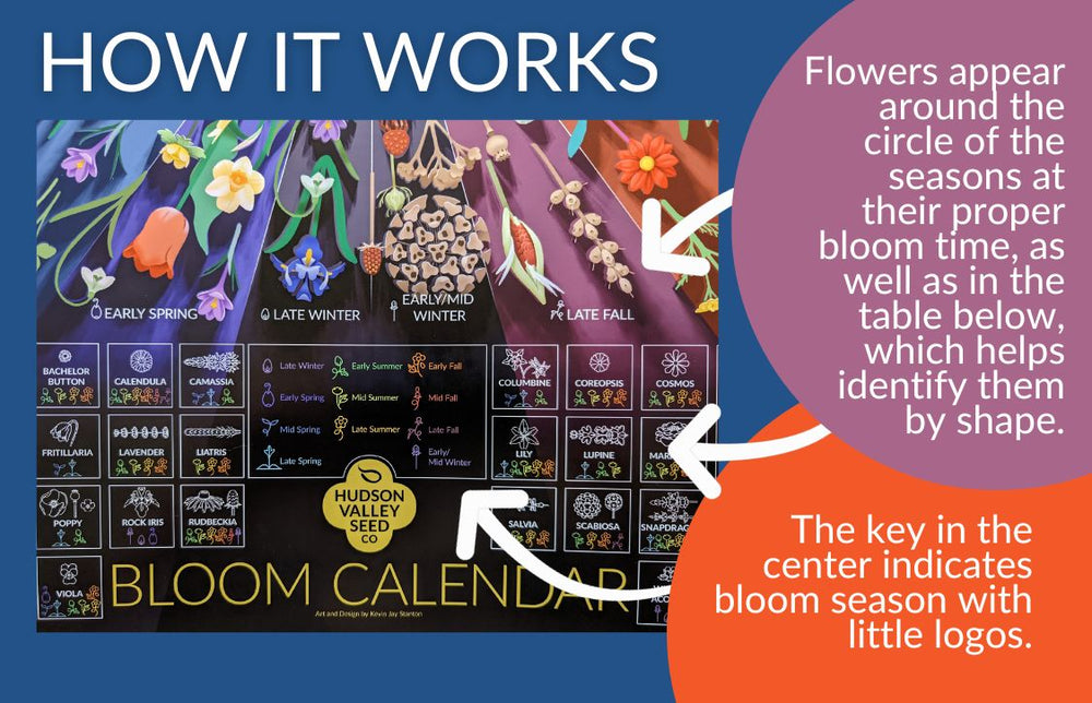 Bloom Calendar Poster