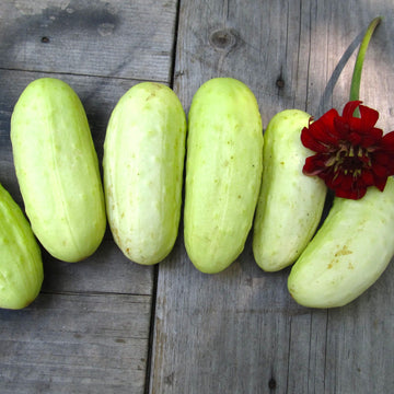 Cucumbers