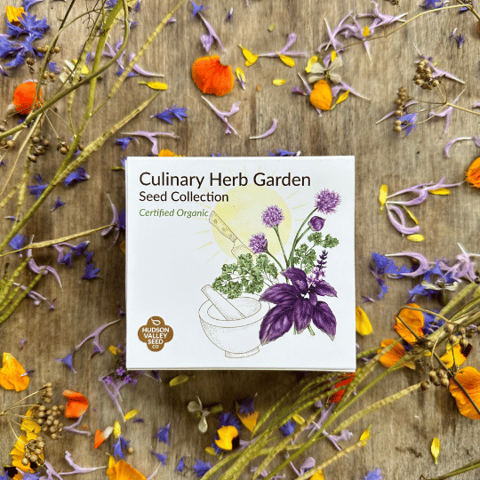 Culinary Herb Garden Seed Collection