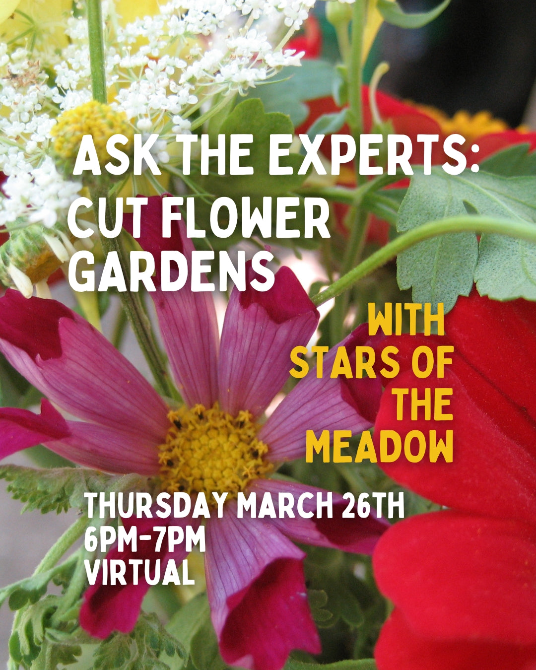 Ask the Experts: Cut Flower Gardens with Stars of the Meadow 3/26/26 - 6PM