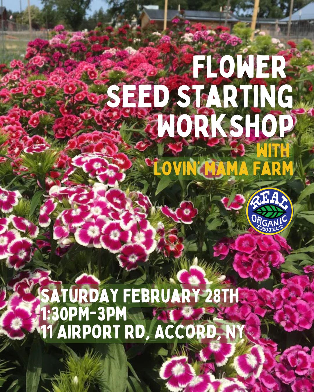 Flower Seed Starting Workshop with Corinne Hansch - 2/28/26 - 1:30pm