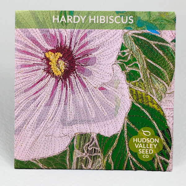 Hardy Hibiscus