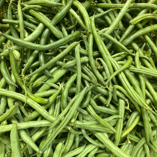 Blue Lake FM-1K Pole Bean