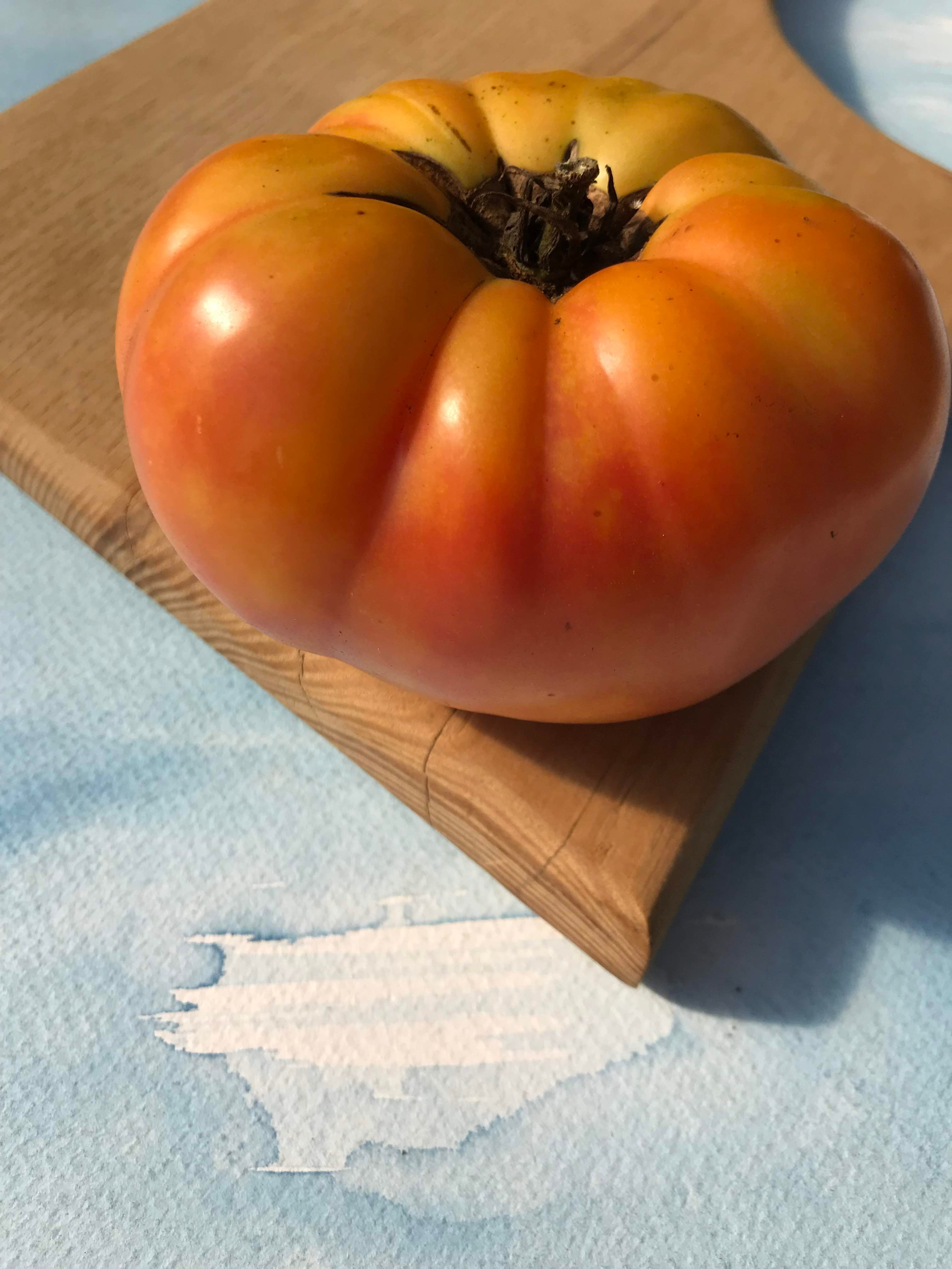 Pineapple Tomato Seedlings