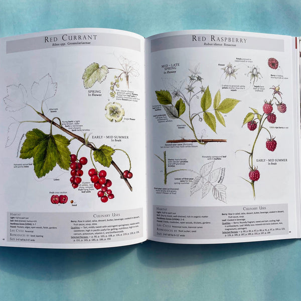 Foraging and Feasting Book