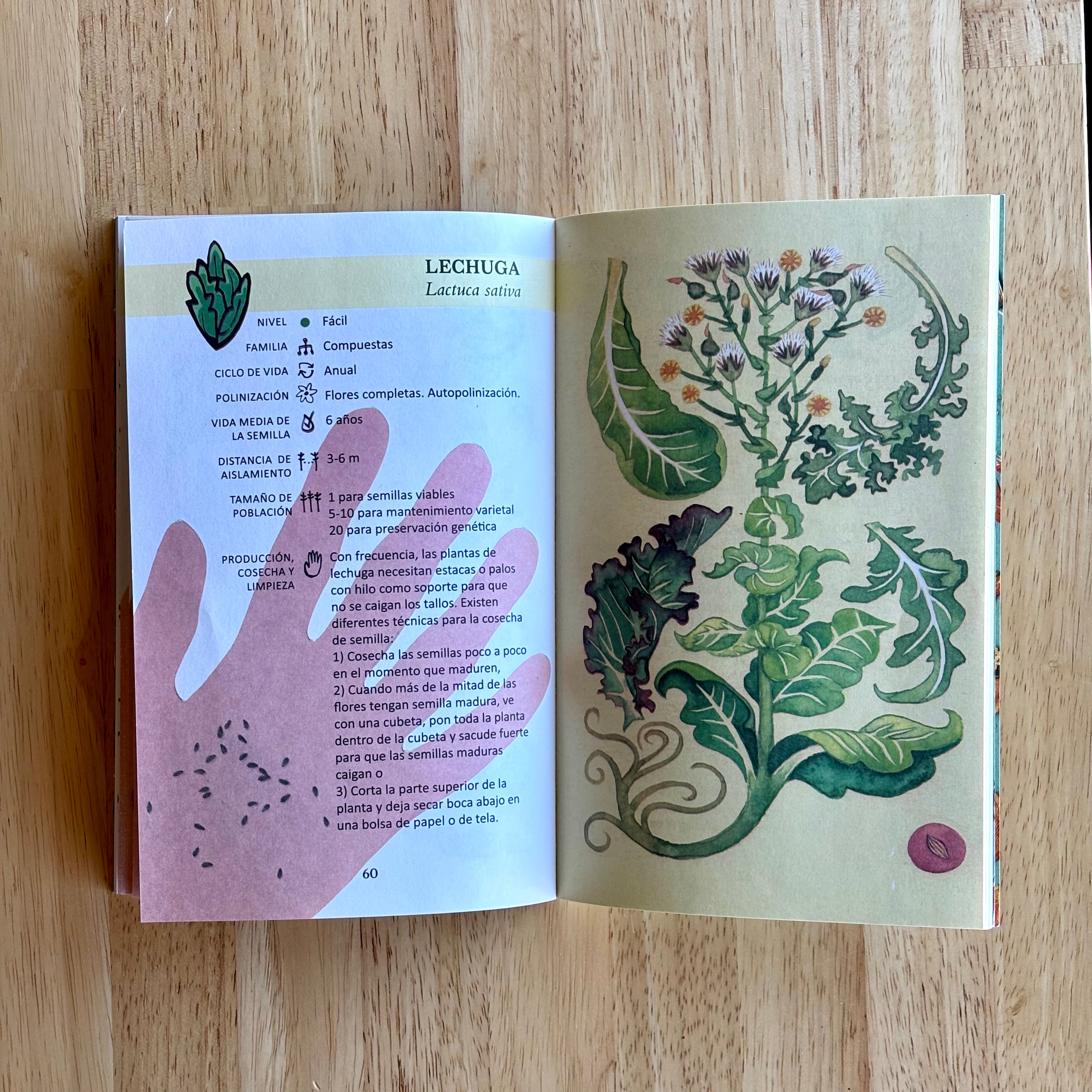 Semillas Para Todos - Spanish Seed Saving Manual