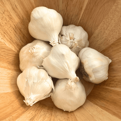 Inchelium Red Softneck Garlic