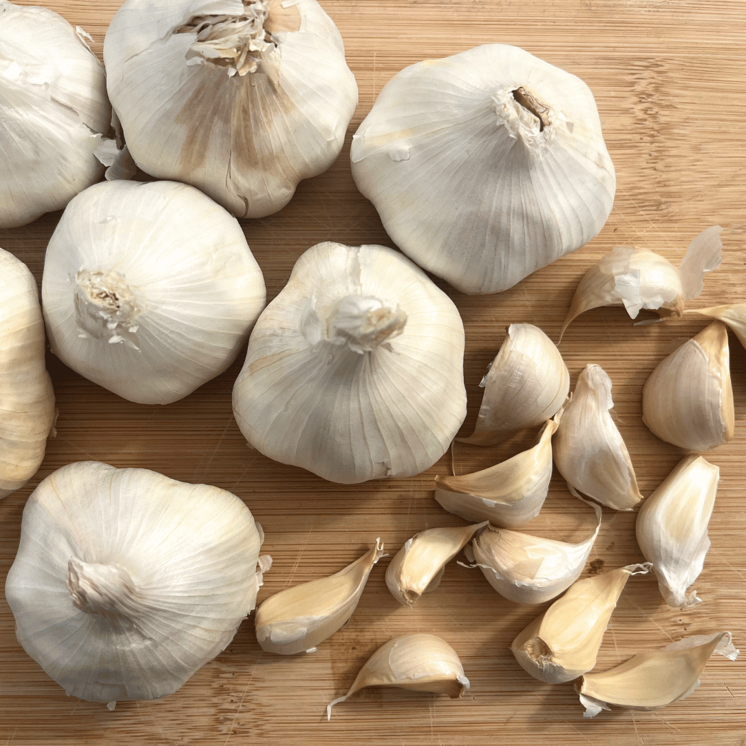 Inchelium Red Softneck Garlic