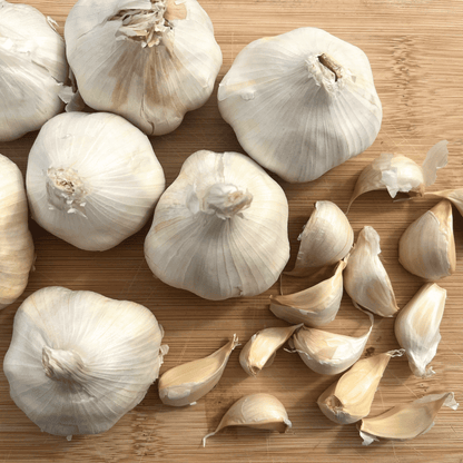 Inchelium Red Softneck Garlic