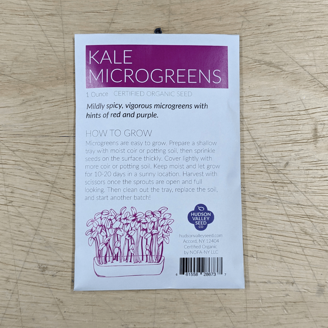 Organic Microgreens: Kale