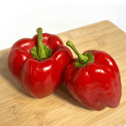 Keystone Giant Pepper