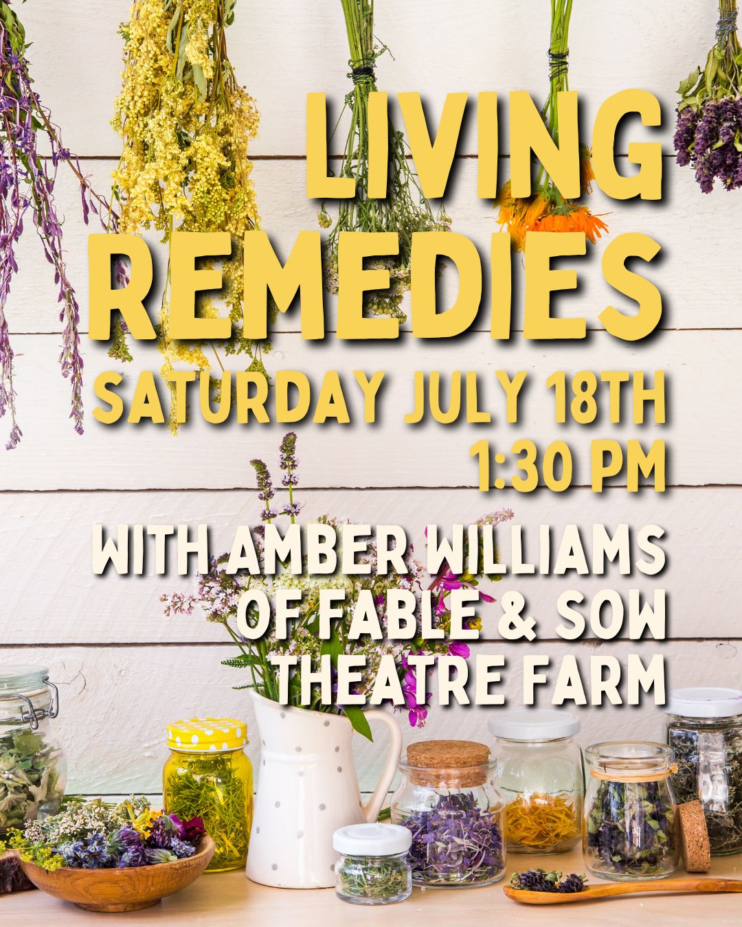Living Remedies - Foundations of Herbal Medicine with Amber Williams of Fable &amp; Sow Theatre Farm - 7/18 - 1:30PM