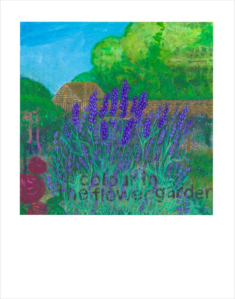 Munstead Lavender Art Print ~Signed~