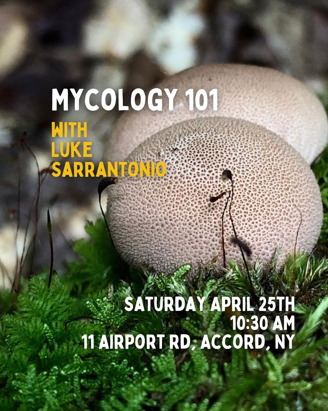 Mycology 101 with Luke Sarrantonio -4/25 - 10:30AM