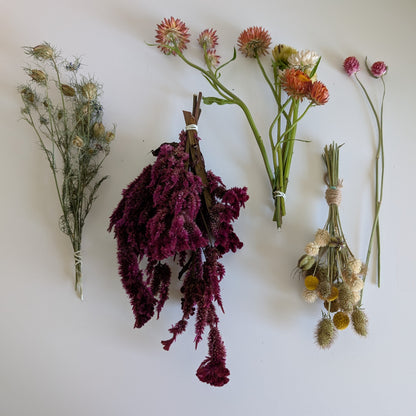 Dried Flower Seed Set