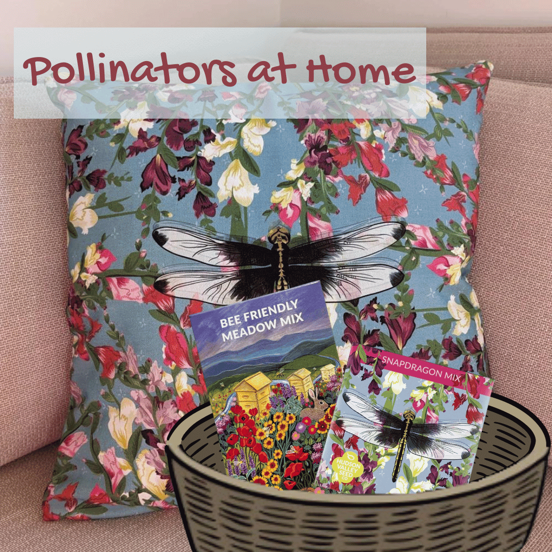 Pollinators at Home Set