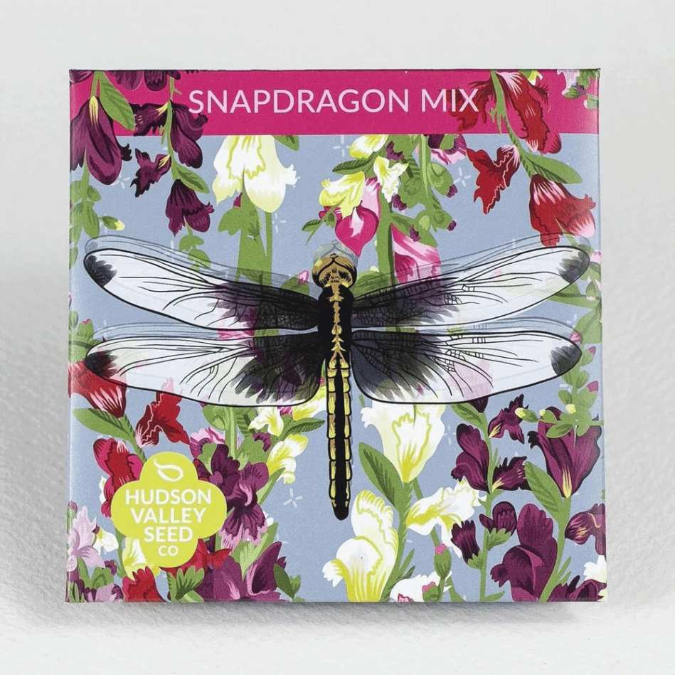 Pollinators at Home Set