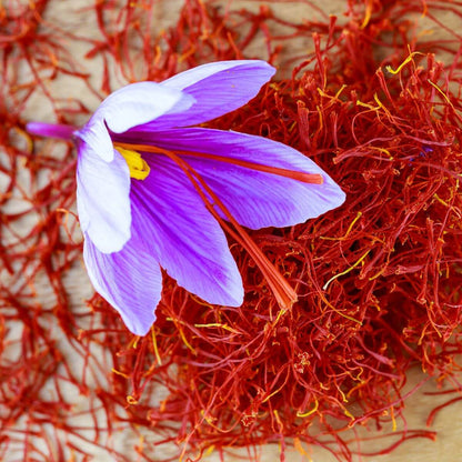 Saffron Autumn Crocus