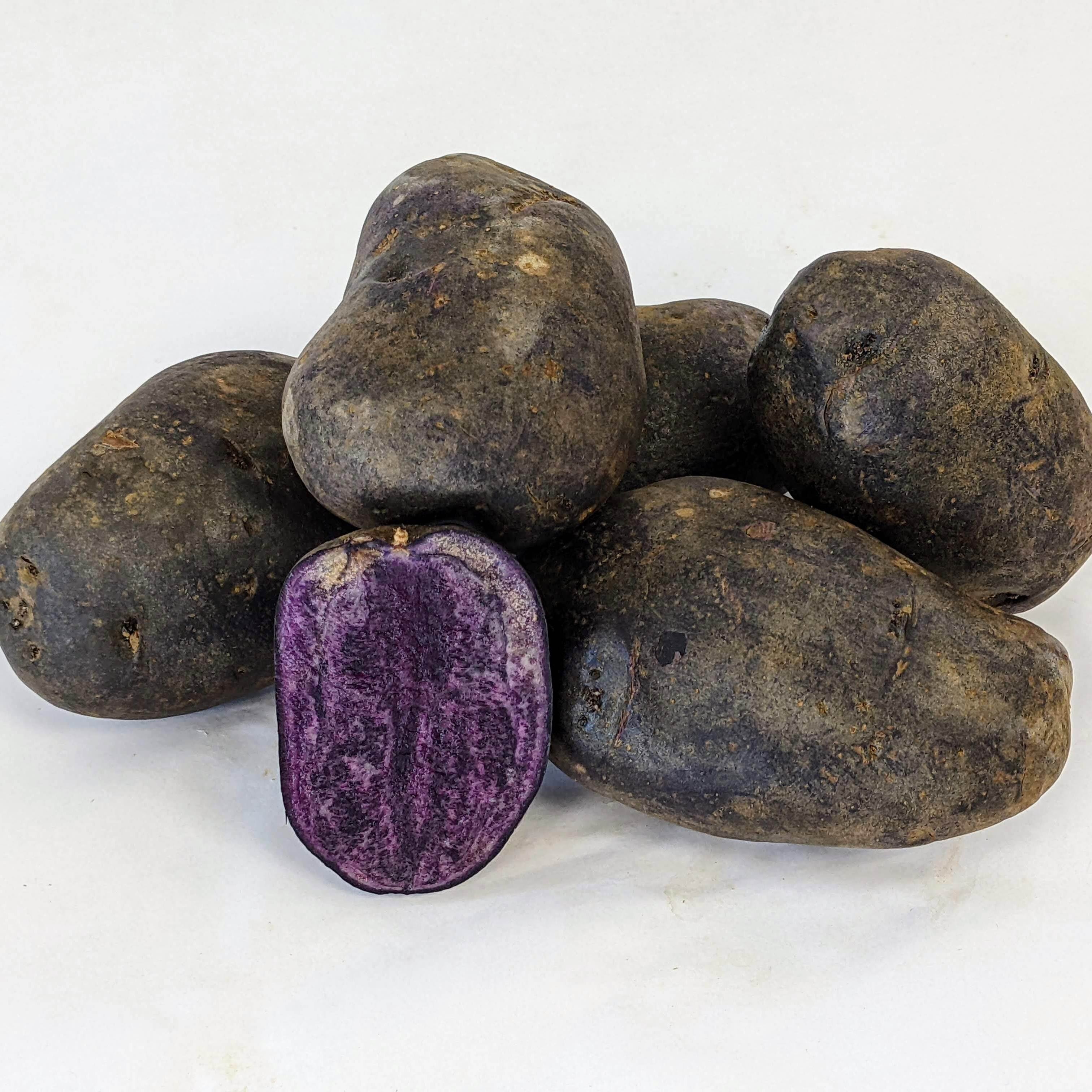 Purple Majesty Potato