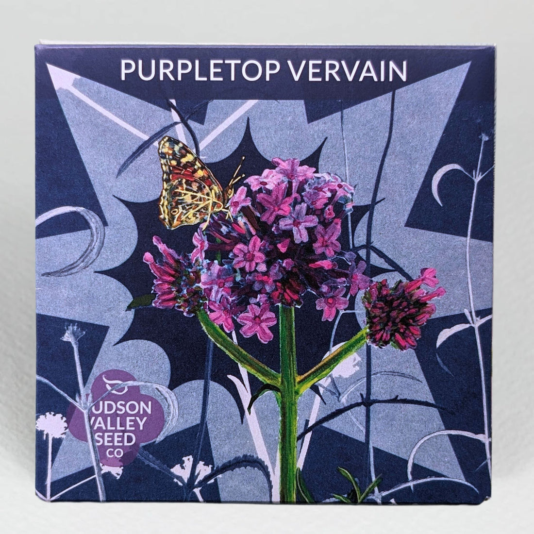 Purpletop Vervain