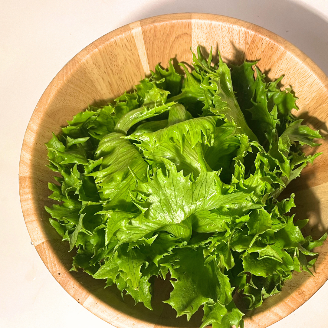 Reine De Glaces Lettuce