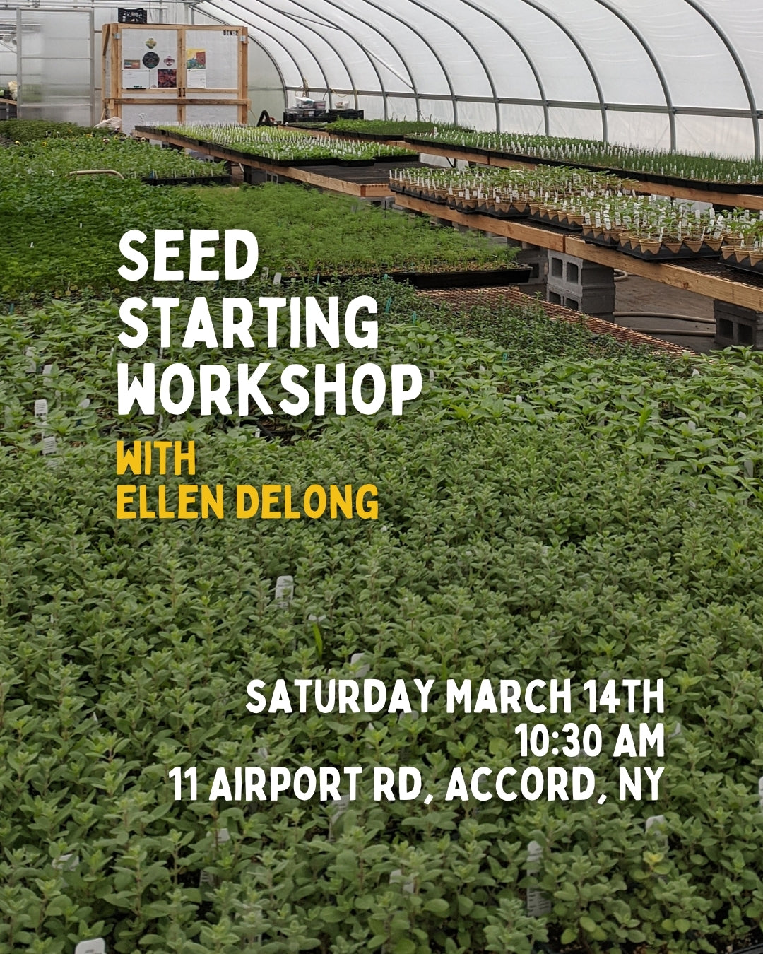 Seed Starting Workshop with Ellen DeLong 3/14 10:30am