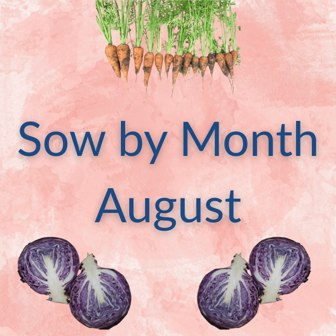 Sow by Month Bundle - August