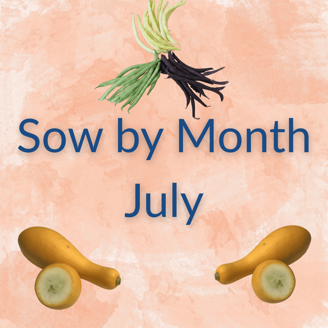 Sow by Month Bundle - July