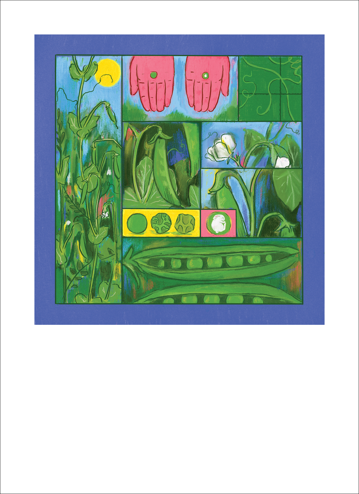 Sugar Snap Pea Art Print ~Signed~