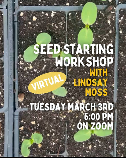 Virtual Seed Starting Class with Lindsay Moss - Zoom Recording