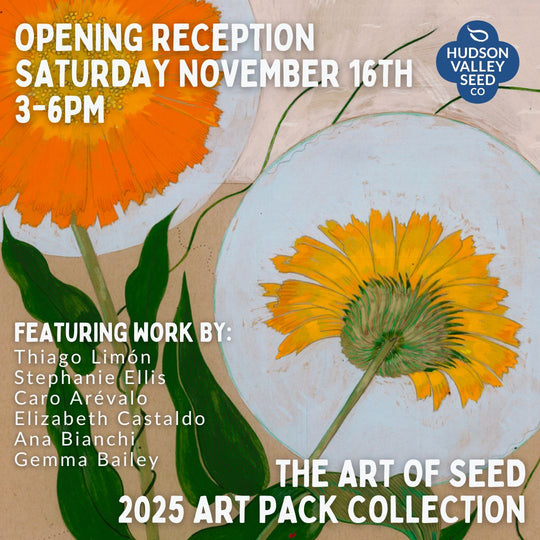 The Art of Seed 2025 Opening Reception