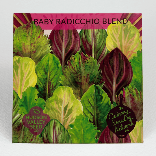 Baby Radicchio Blend