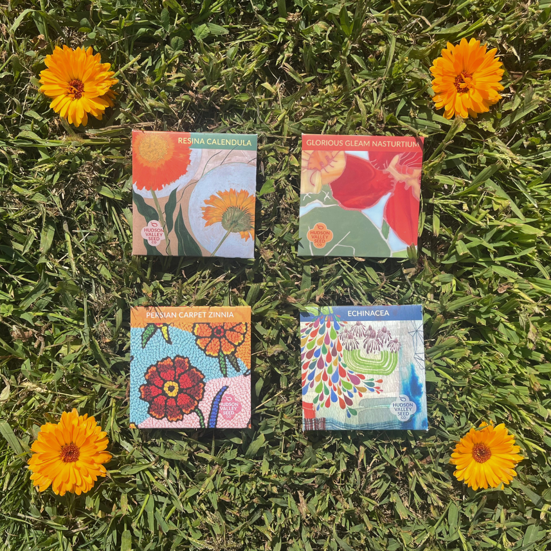 Beginners Flower Garden Set