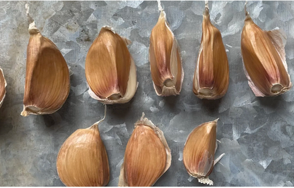 Conventional Bloodnick&