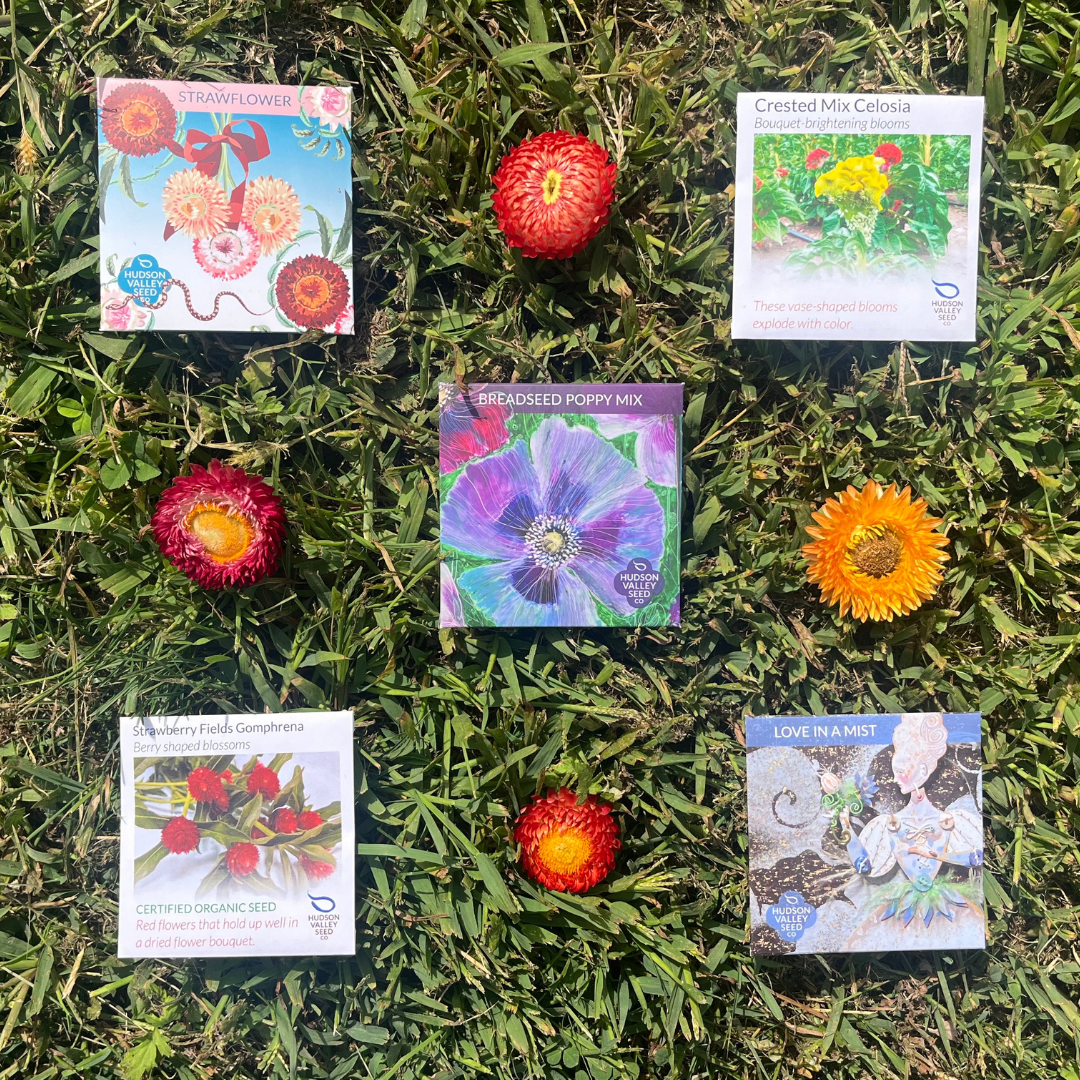 Dried Flower Seed Set
