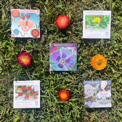 Dried Flower Seed Set