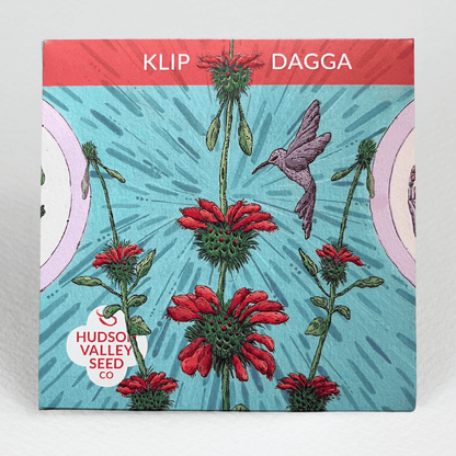 Klip Dagga