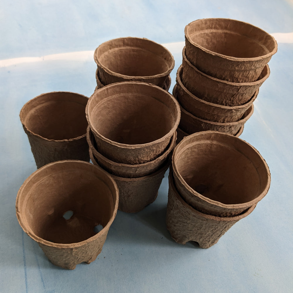 Recycled Paper Seed-Starting Pots (15 pack)