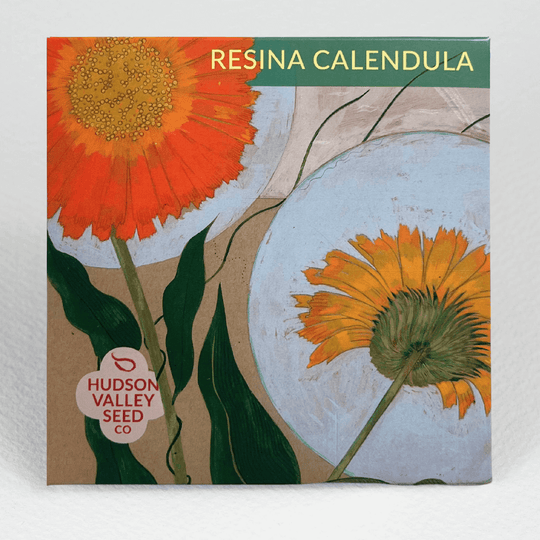 Resina Calendula