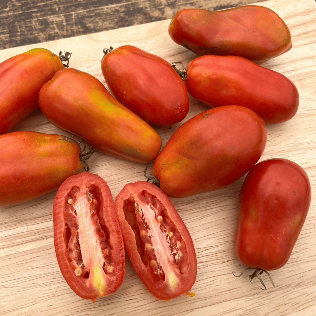 San Marzano Tomato